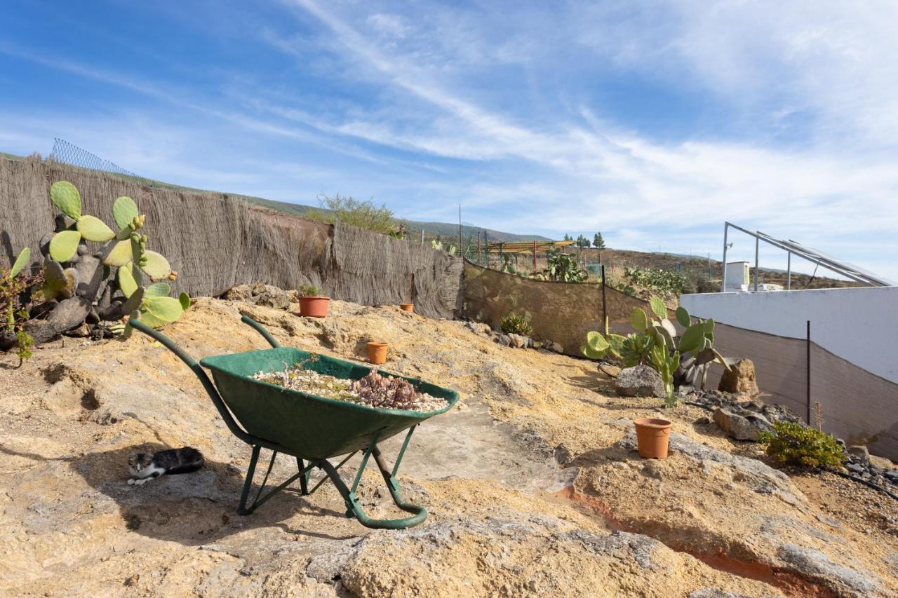 Casa Cueva Gaspara Arico Zewnętrze zdjęcie